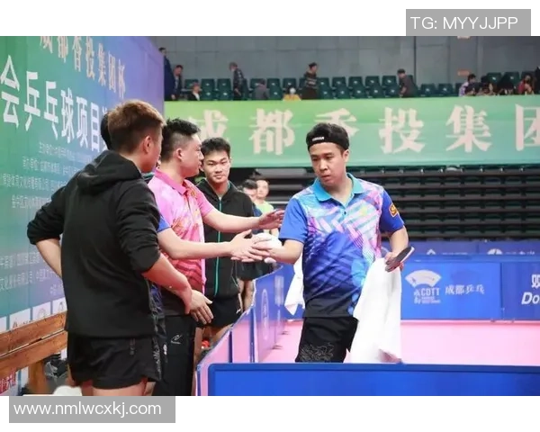 严升与赵子豪的巅峰对决谁将成为新一代乒乓球之星