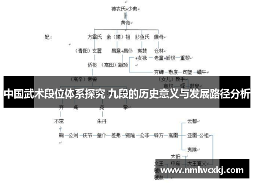 中国武术段位体系探究 九段的历史意义与发展路径分析