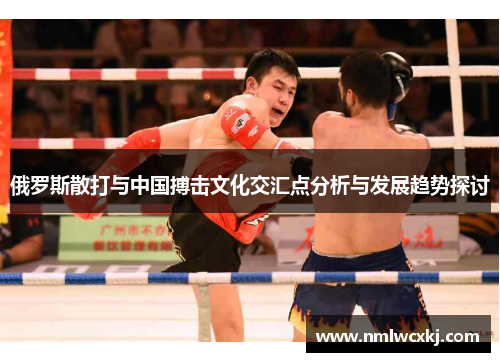 俄罗斯散打与中国搏击文化交汇点分析与发展趋势探讨