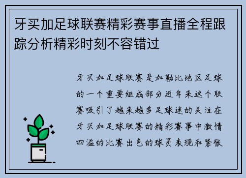 牙买加足球联赛精彩赛事直播全程跟踪分析精彩时刻不容错过